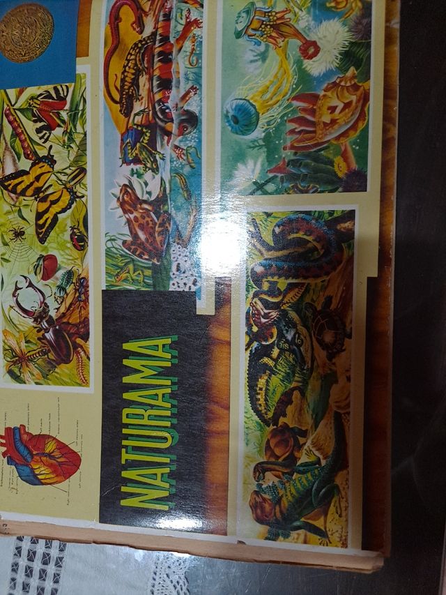 Album adesivi Naturama, animali, razze e corpo