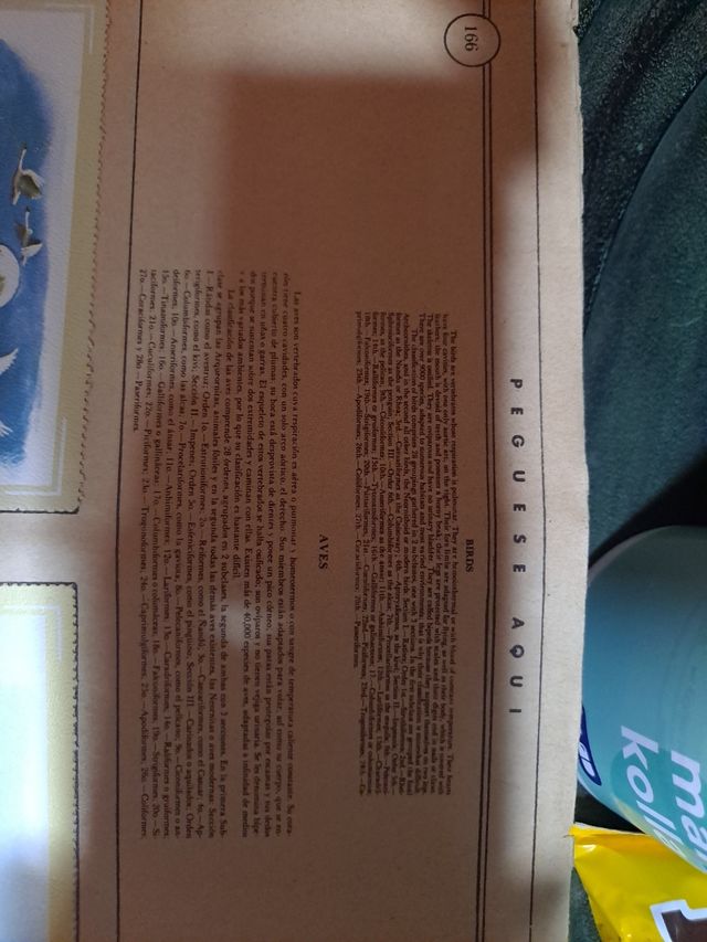 Album adesivi Naturama, animali, razze e corpo