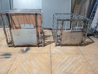 Palomos deportivos