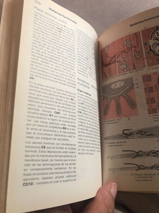 Atlas de Anatomia sistema nervioso y organos d....