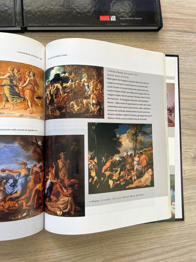 Libri i grandi musei del mondo