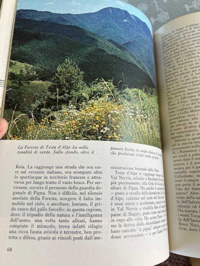 Libro Splendore della Natura in Italia