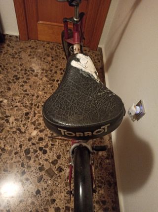 Bicicleta Torrot Vintage