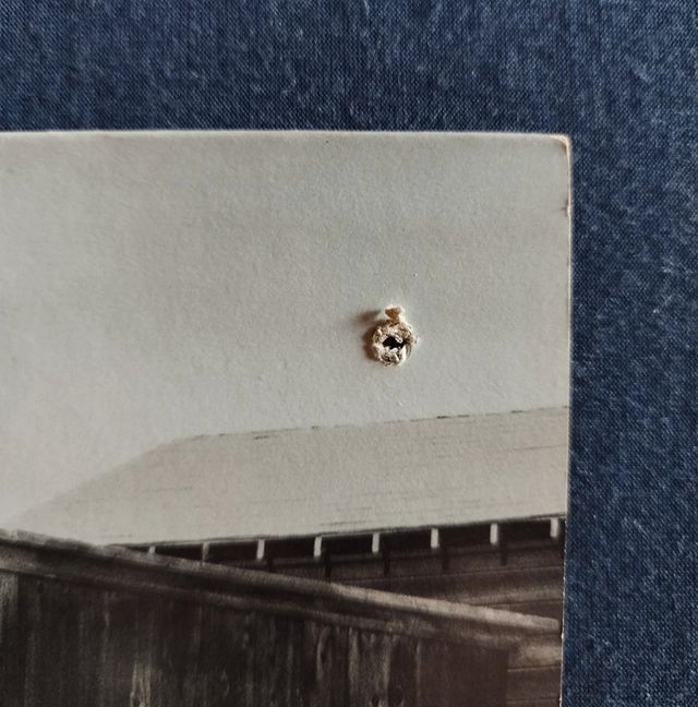 The Unforgiven - The Unforgiven