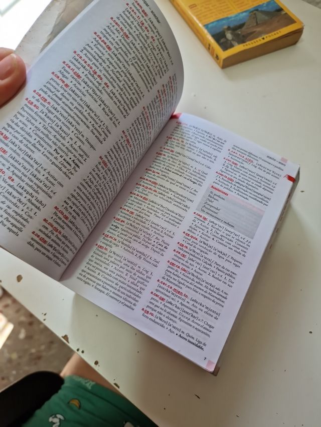 Dicionario Santillana español