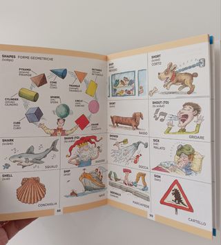 Dizionario inglese illustrato