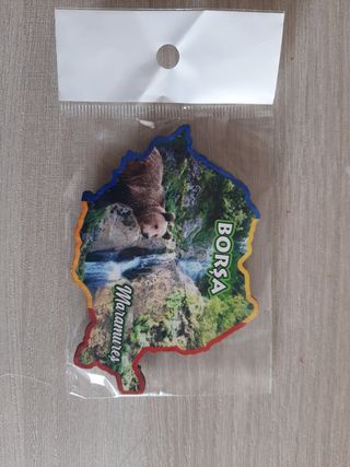 Calamita souvenir Romania