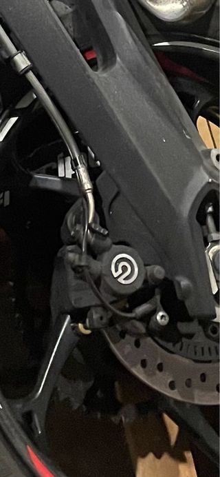 Pinza de freno trasera Brembo y pastillas