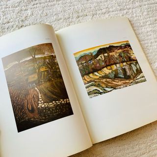 🌟Libro Firmado Javier Serrano - Ortiz de Elgea