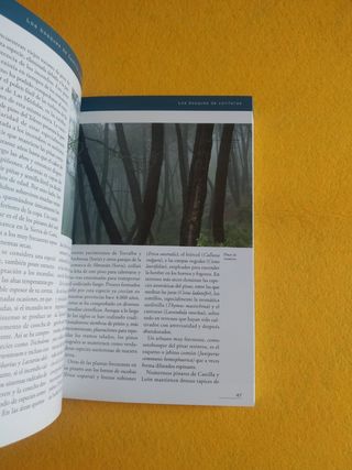 Los bosques de Castilla y León