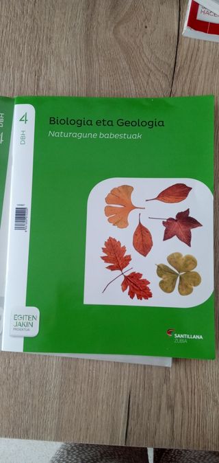 Biologia eta Geologia 4 DBH