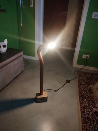 Coppia lampade da terra