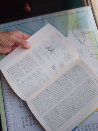 DICCIONARIO EDUCACIÓN SECUNDARIA