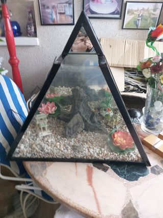 Acuario triangular