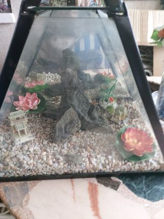 Acuario triangular