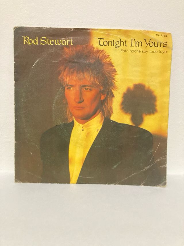 Vinilo Rod Stewart