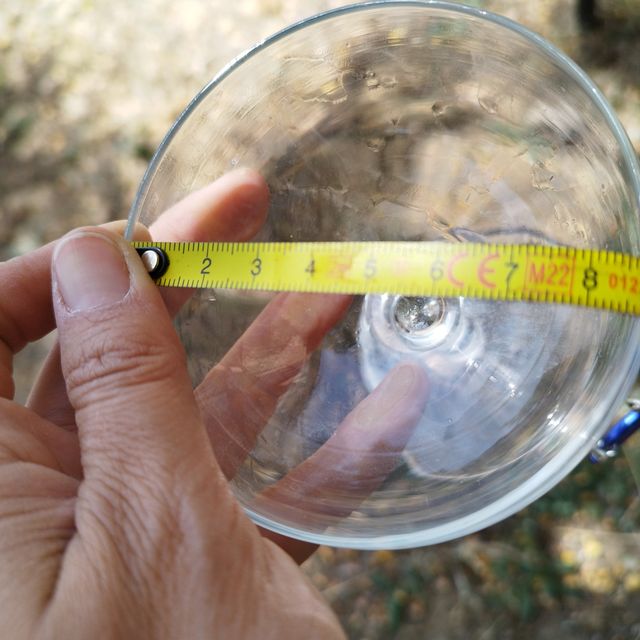 31 copas de champagne