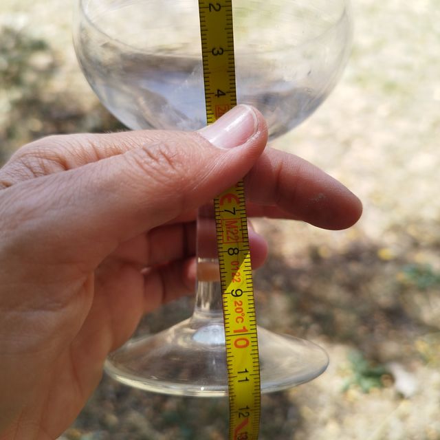 31 copas de champagne