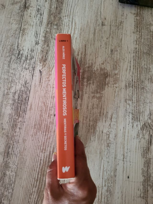 Perfectos mentirosos 1