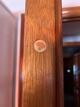 Puerta doble de cristal de madera maciza sapelli