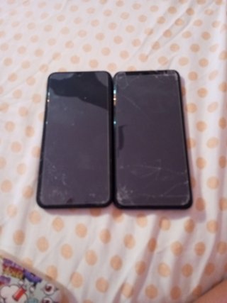 Cellulare
