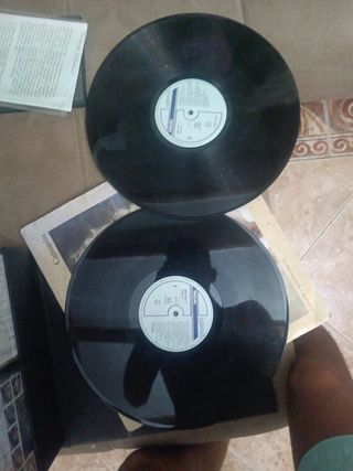 Disco de Camarón de la isla para tocadi