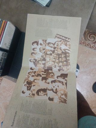 Disco de Camarón de la isla para tocadi
