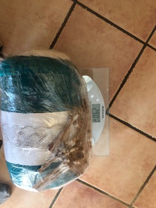 Almohada para hacer encaje de bolillo