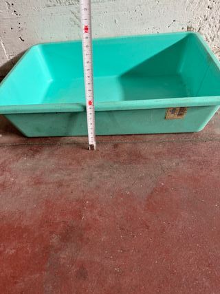 Lettiera per gatti, verde acqua in plastica