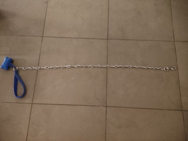 Cadena de perro