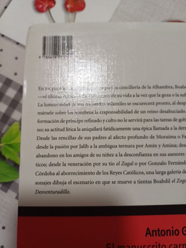 El manuscrito carmesi