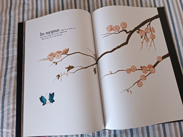 Los Amantes Mariposa