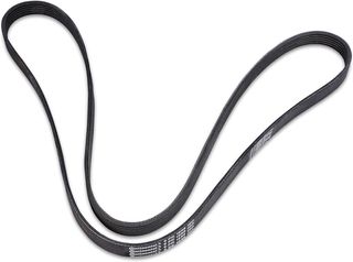 CONTITECH 6PK1698 Cintura. 441698