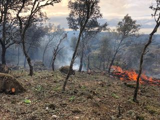 LIMPIEZA DE FINCAS Y PARCELAS