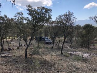 LIMPIEZA DE FINCAS Y PARCELAS