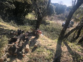 LIMPIEZA DE FINCAS Y PARCELAS