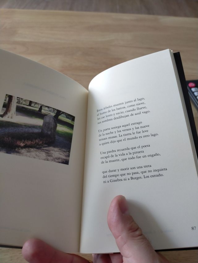 Compañeros de viaje. Juvenal Soto