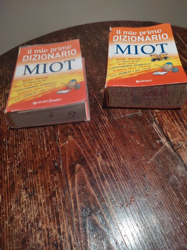 Due dizionari lingua italiana scuola pri