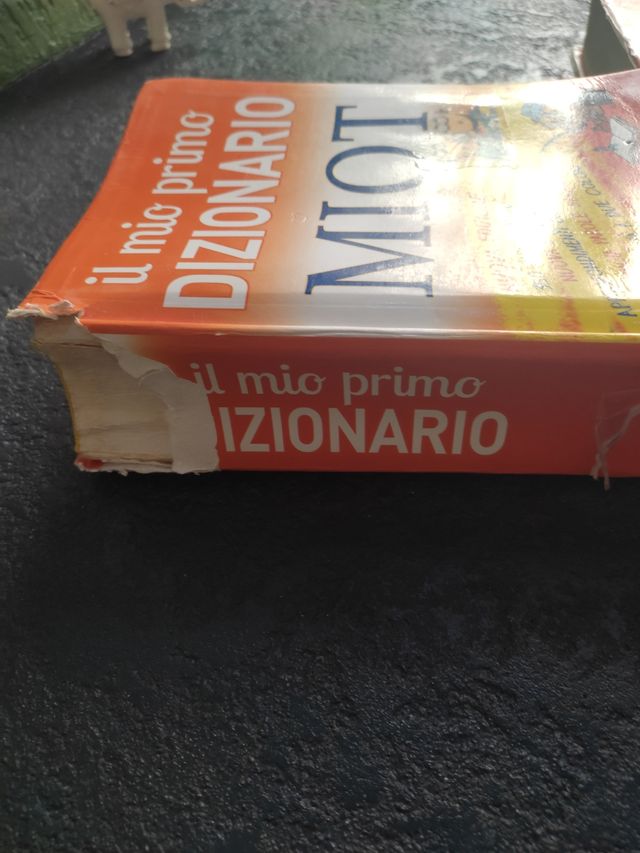 Due dizionari lingua italiana scuola pri