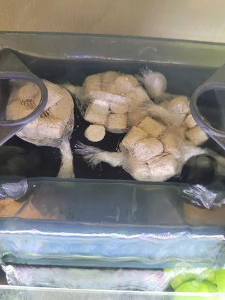 ACUARIO CANUTOS CICLADOS