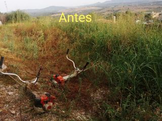Limpieza de parcelas desbroces 