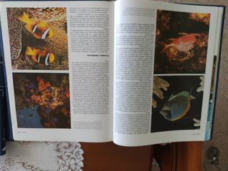 GRAN ENCICLPEDIA SALVAT EL MAR