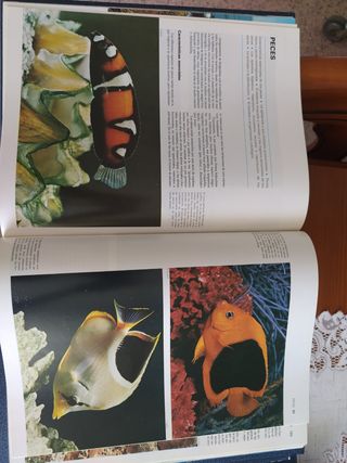 GRAN ENCICLPEDIA SALVAT EL MAR