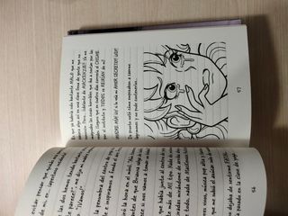 Libro "Diario de Nikki 13"