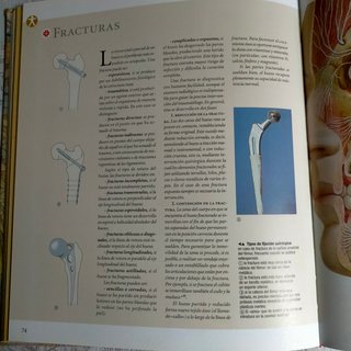Atlas anatomía humana NUEVO