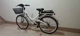 Carnielli Bici Elettrica Eagle