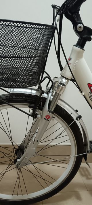 Carnielli Bici Elettrica Eagle