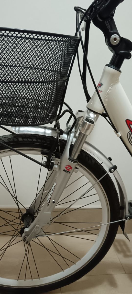 Carnielli Bici Elettrica Eagle