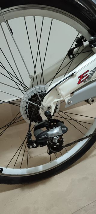 Carnielli Bici Elettrica Eagle