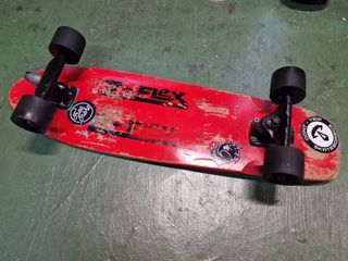 Skate Z-flex Pro con ejes Surf Skate BEAR